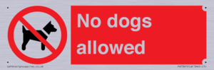 No dogs allowed